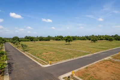 Land / Plots